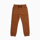 Boys' Rust Brown Regular Fit Elastic Waist Jogger Trousers, Brown, small image number null