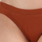 Women's Soft Ivory Bikini Panty, Brown, small image number null
