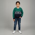 Boys Dark Green and Navy Crew Neck Casual Pullover, गहरा हरा, small image number null