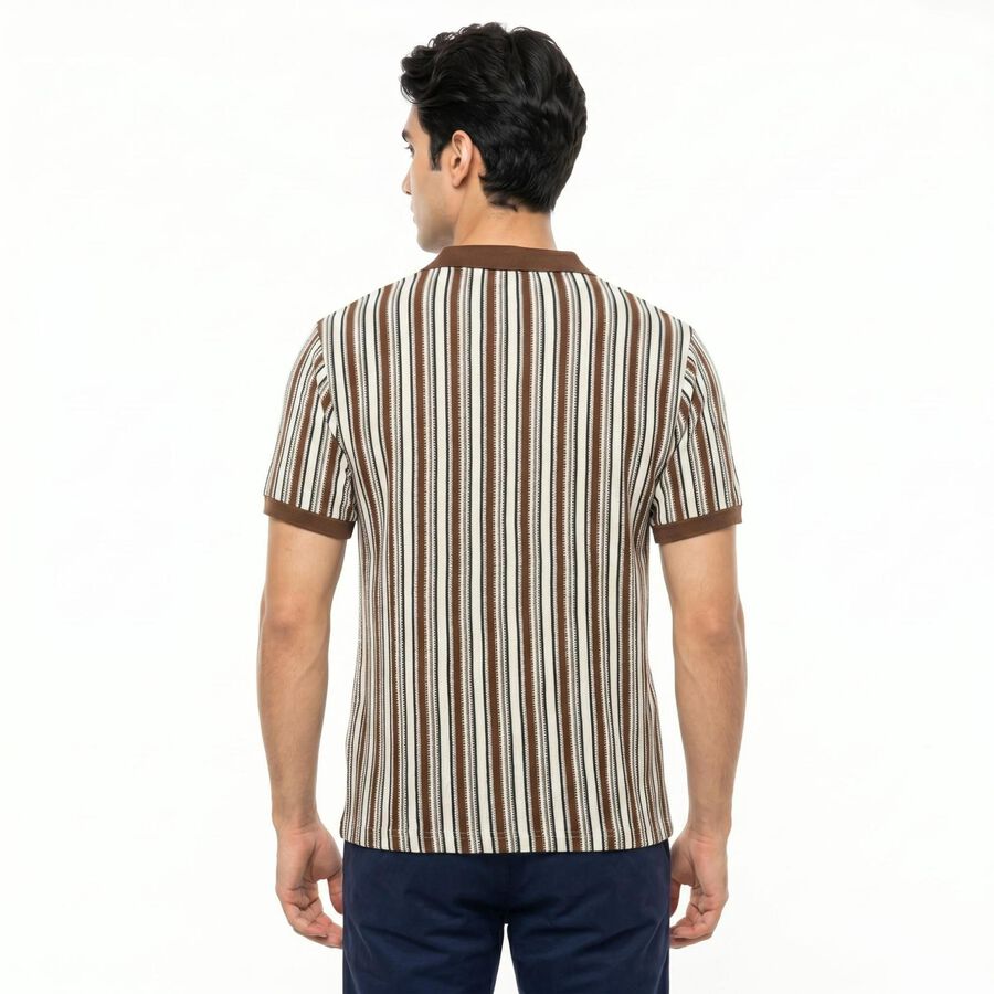 Men's Brown Polo Neck Striped T-Shirt, भूरा, large