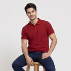 Men's Maroon Polo Neck Polo T-Shirt, मरून, small