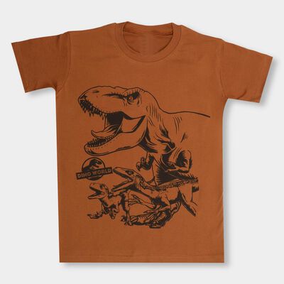 Boys' Half Sleeves T-Shirt