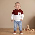 Infants' Maroon Cotton Round Neck Pullover Sweatshirt, मरून, small