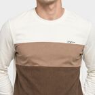 Men's Brown Crew Neck Colorblocked Regular T-Shirt, Brown, small