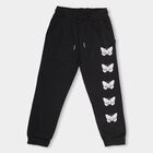 Boys' Jet Black Cotton Blend Butterfly Print Jogger Pyjama, Black, small image number null