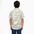 Boys' Muted Olive Green Cotton Half Sleeve Classic Collar Casual Shirt, ओलिव, small image number null