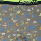 Boys' Briefs, Light Grey, small