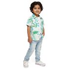 Boys Light Green and Blue Cotton Half Sleeve Classic Casual Shirt, हल्का हरा, small image number null