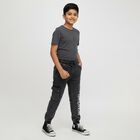 Boys' Charcoal Black Cargo Jogger Jeans, Dark Grey, small image number null