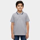 Boys' Light Grey Cotton Round Neck Graphic Printed T-Shirt, Light Grey, small