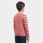 Boys Maroon Crew Neck Regular T-Shirt, Maroon, small