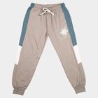 Boys Grey Jogger Fit Colorblocked Winter Pyjama, हल्का ग्रे, small