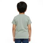 Boys Light Sage Green Cotton Round Neck Casual T-Shirt, हल्का हरा, small image number null