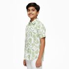 Boys Light Sage Green Cotton Half Sleeve Classic Casual Shirt, Light Green, small image number null