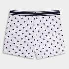 Boys' Briefs, Melange Light Grey, small image number null