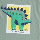 Boys Light Sage Green Cotton Crew Neck Casual T-Shirt, हल्का हरा, small image number null