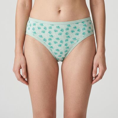 Women's Mint Green Regular Fit Printed Panty