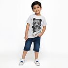 Boys Light Grey Crew Neck Casual Half Sleeve T-Shirt, एक्रू मिश्रित, small image number null