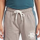 Boys Grey Jogger Fit Colorblocked Winter Pyjama, हल्का ग्रे, small