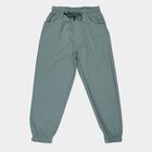 Boys' Light Green Cotton Regular Fit Trousers, Light Green, small