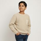 Boys Light Beige Crew Neck Casual Pullover, Beige, small image number null
