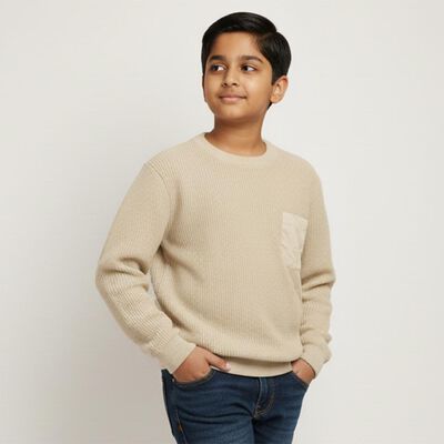 Boys Light Beige Crew Neck Casual Pullover
