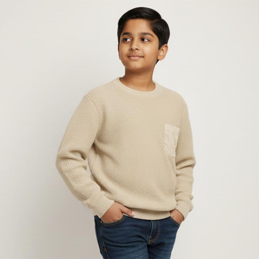 Boys Light Beige Crew Neck Casual Pullover, Beige, large image number null