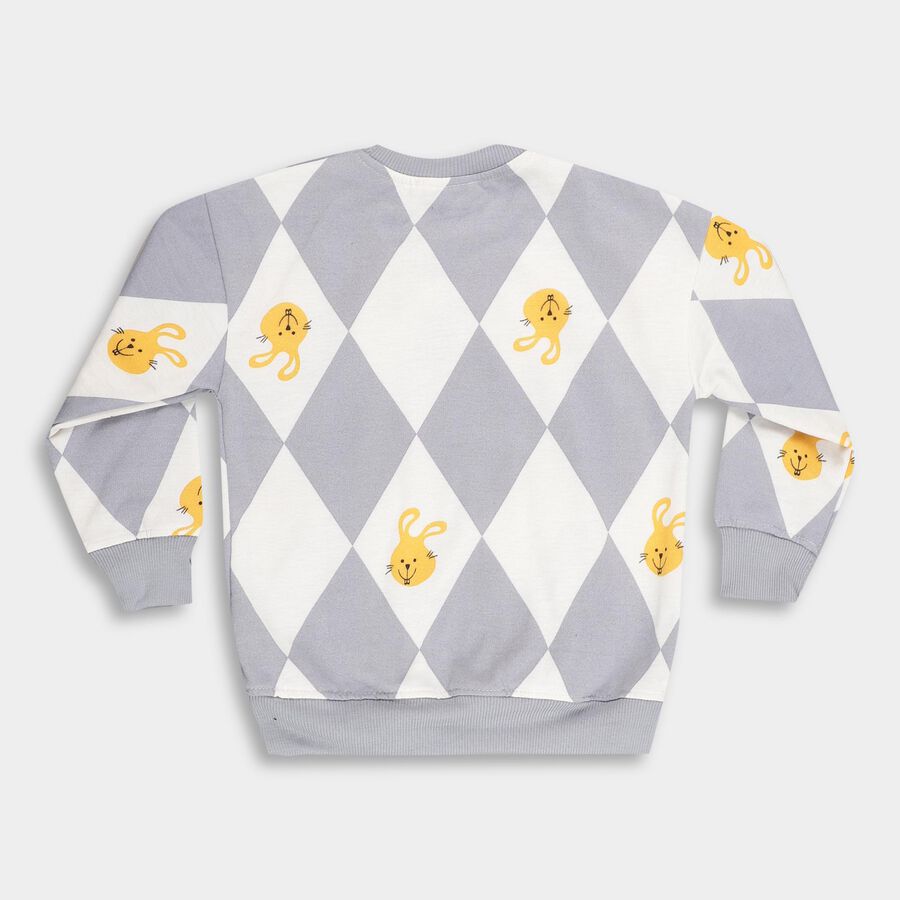 Boys Light Grey Crew Neck Casual Sweatshirt, हल्का ग्रे, large image number null