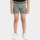 Boys' Briefs, Light Grey, small