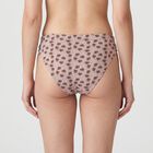 Women's Brown Mid-Rise Printed Panty, Brown, small