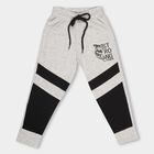 Boys' Light Heather Grey Cotton Blend Tiger Print Pyjama, हल्का ग्रे, small image number null