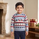 Boys Light Blue Crew Neck Printed Pullover, हल्का नीला, small