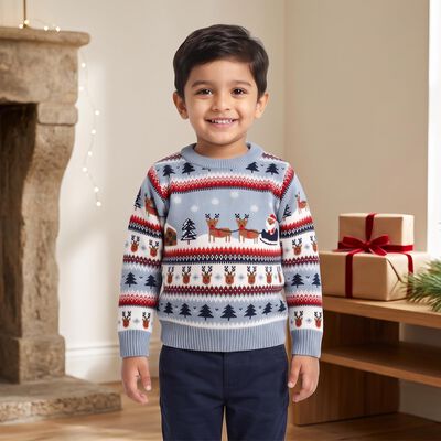 Boys Light Blue Crew Neck Printed Pullover
