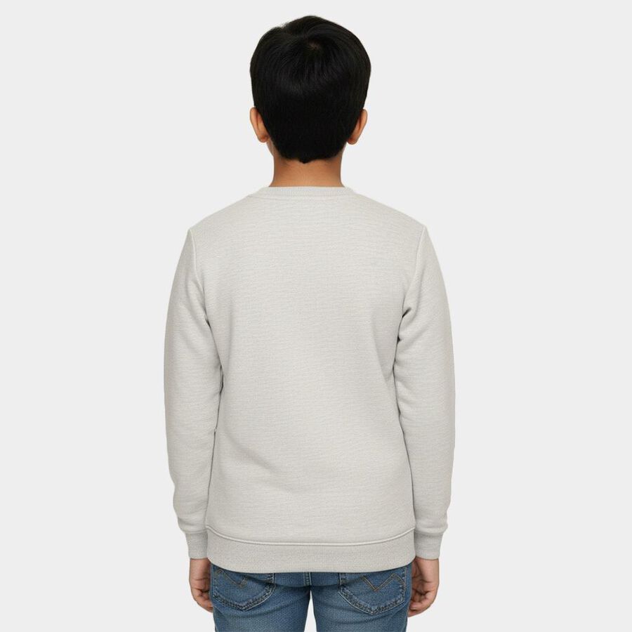 Boys Light Grey Crew Neck Graphic Sweatshirt, Ecru Melange, large image number null