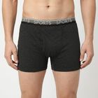 Men's Charcoal Regular Fit Sports Waistband Trunks, Charcoal, small