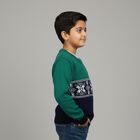 Boys Dark Green and Navy Crew Neck Casual Pullover, गहरा हरा, small image number null
