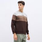 Men's Muted Brown and Light Grey Crew Neck Casual Sweatshirt, Brown, small image number null