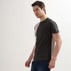 Men's 100% Cotton Round Neck Half Sleeves T-Shirt, Light Grey, small image number null