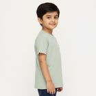 Boys Light Sage Green Cotton Crew Neck Casual T-Shirt, Light Green, small image number null