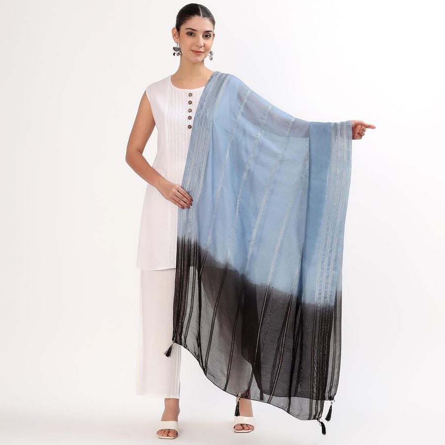 Women's Black and Blue Ombre Embroidered Dupatta, काला, large image number null