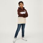 Boys' Sweatshirt, भूरा, small image number null