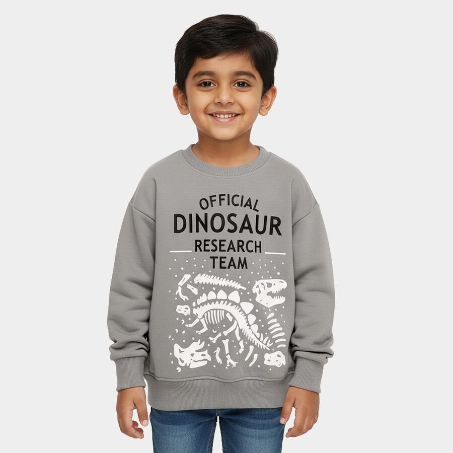 Boys Light Grey Crew Neck Casual Sweatshirt, Light Grey, large