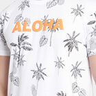 Printed Round Neck T-Shirt, White, small image number null