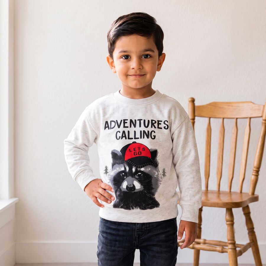 Boys' Grey Crew Neck Graphic Print Sweatshirt, मिश्रित हल्का ग्रे, large