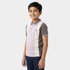 Boys Lilac Cotton Polo Neck Polo Boys T-Shirt, Lilac, small