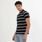 Men's Jet Black Polo Neck Striped T-Shirt, Black, small image number null