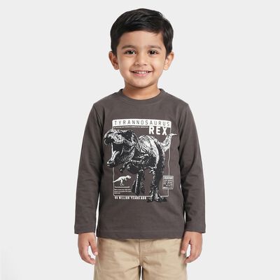 Boys Dark Grey Cotton Blend Round Neck Regular Boys T-Shirt