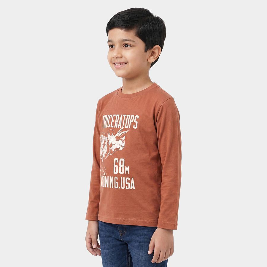 Boys Brown Cotton Blend Round Neck Regular Boys T-Shirt, Brown, large
