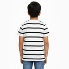 Boys' 100% Cotton Half Sleeves T-Shirt, White, small image number null