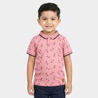 Boys Pink Cotton Polo Neck Casual T-Shirt, Pink, small